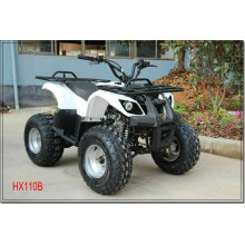 110CC QUAD BARATOS PARA NIÑOS HX110B